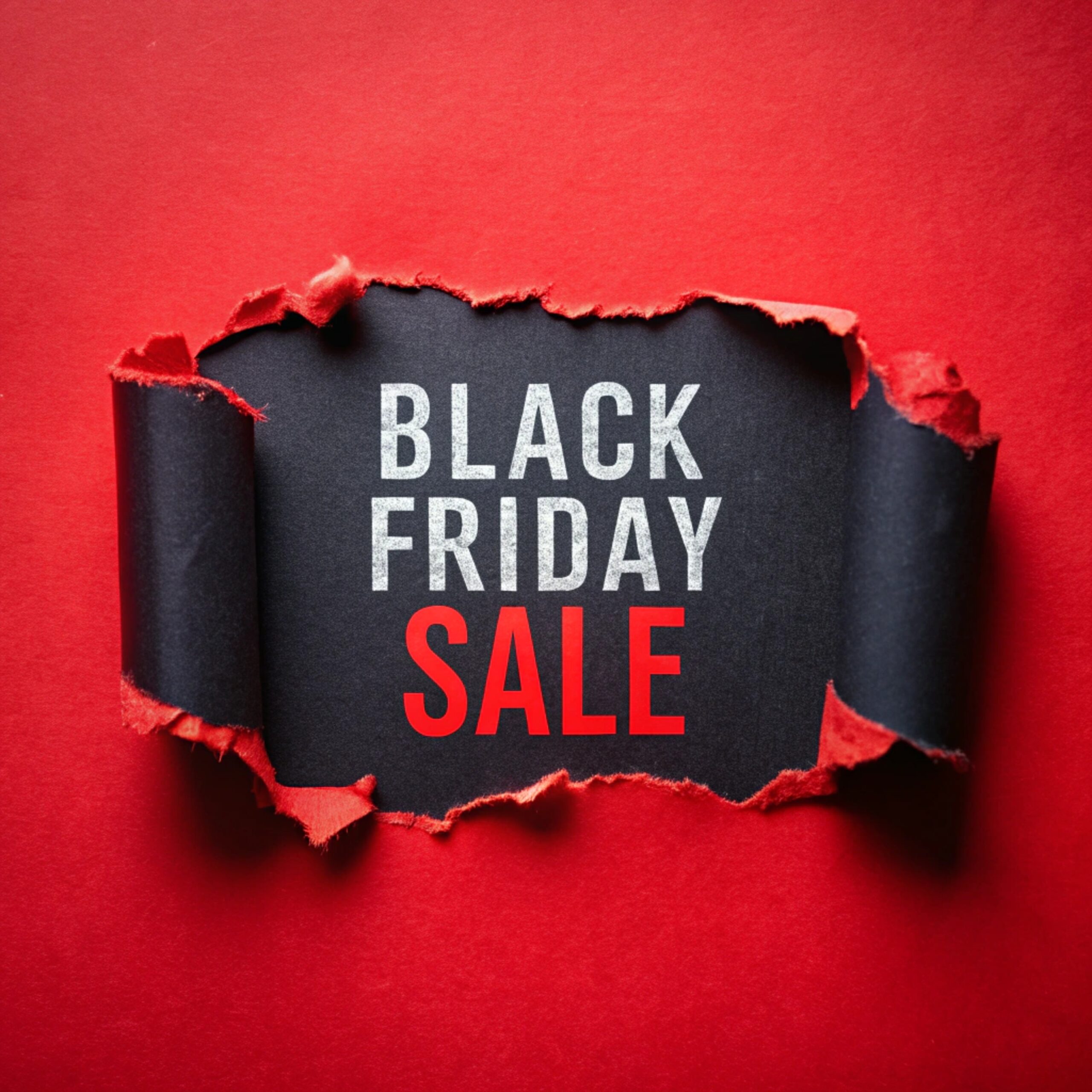 Black Friday Sale