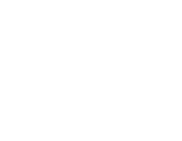 Shopify Plus White Logo